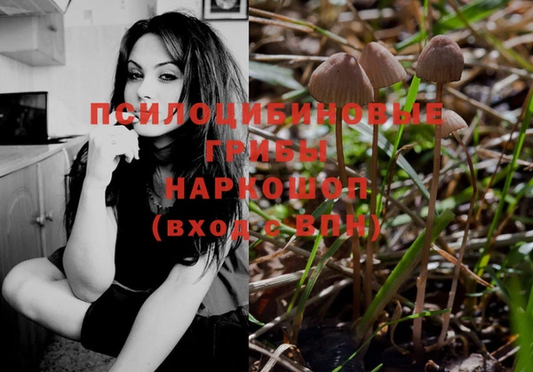 apvp Баксан