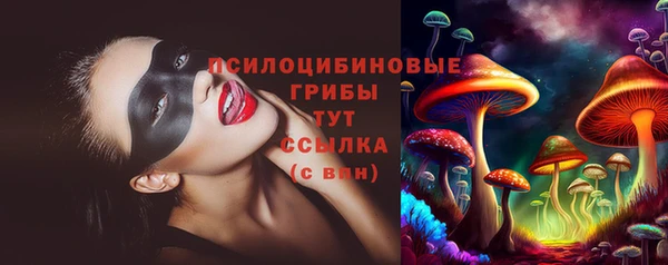 apvp Баксан