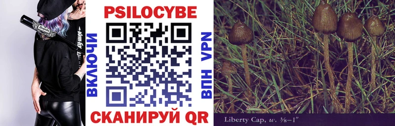 Псилоцибиновые грибы GOLDEN TEACHER Малмыж