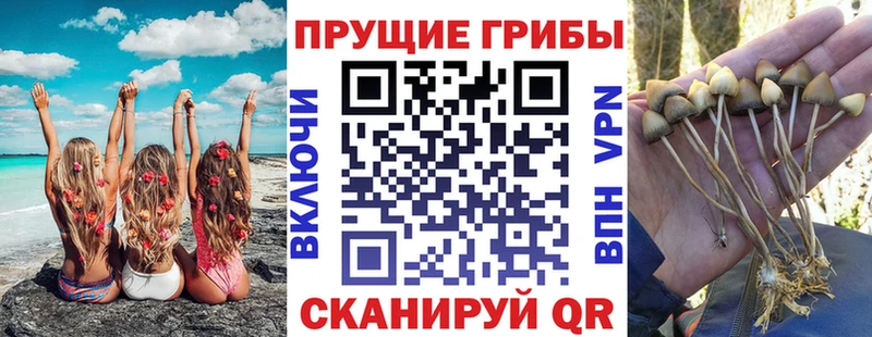 наркотики  Малмыж  ОМГ ОМГ ТОР  Псилоцибиновые грибы мухоморы 