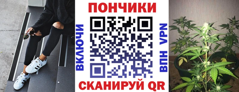 как найти   Малмыж  Конопля SATIVA & INDICA 